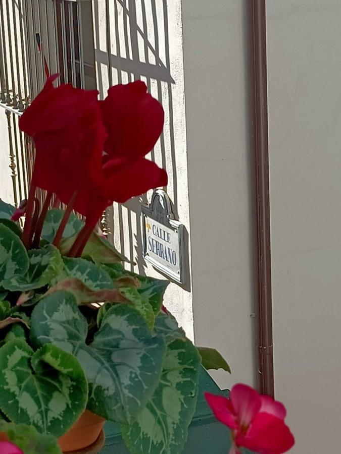 Entre Dos Aguas Διαμέρισμα Γρανάδα Εξωτερικό φωτογραφία